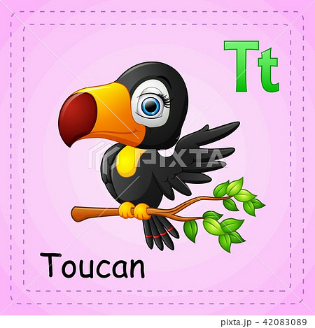 Animals alphabet: T is for Toucan Animals alphabet: T is for Toucan 42083089