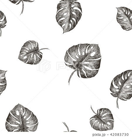 Tropic plants floral seamless jungle pattern. Print vector background of fashion summer wallpaper 42083730