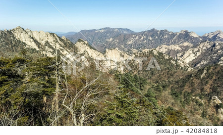 大青峰 寒渓嶺 恐竜稜線 42084818