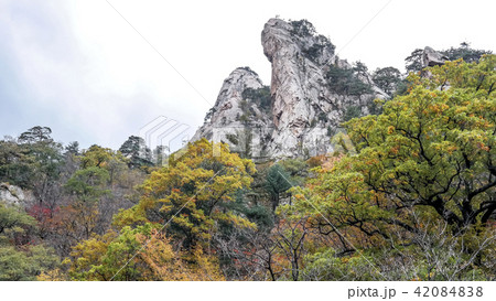 江原道 麟蹄郡 襄陽郡 42084838