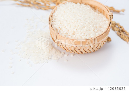 水田 米 稲 42085025