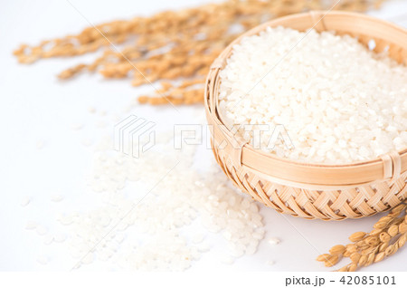 水田 米 稲 42085101