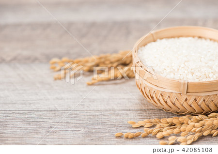 水田 米 稲 42085108