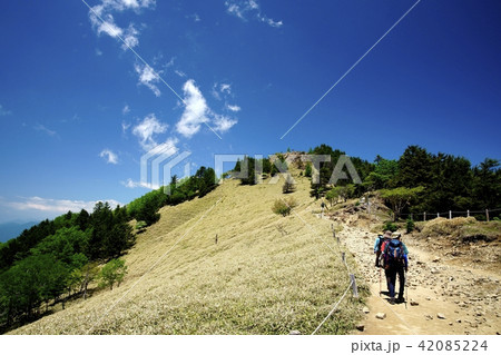 気持ちの良い稜線　(撮影地：大菩薩峠) 42085224