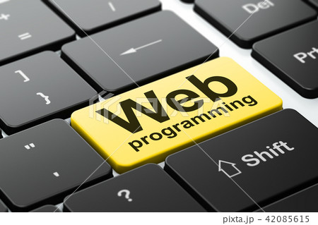 Web development concept: Web Programming on computer keyboard background 42085615