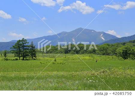 夏の尾瀬 下田代の只見川付近から至仏山を見る 42085750