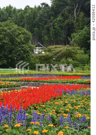 森と公園 42086412