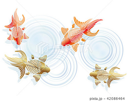 和風 金魚の納涼イラストのイラスト素材