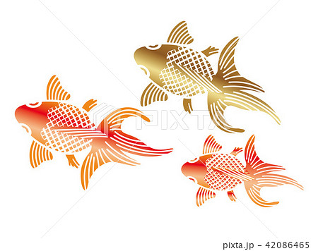 和柄 金魚の納涼イラストのイラスト素材