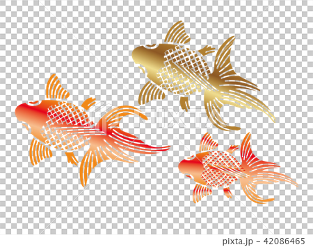 和柄 金魚の納涼イラストのイラスト素材