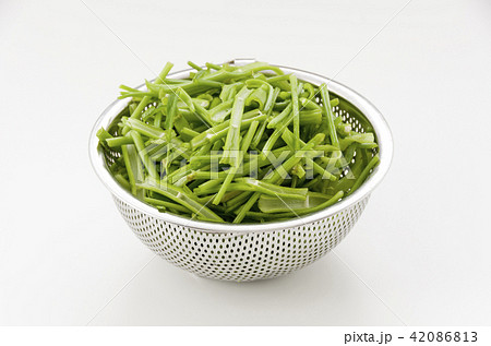 空心菜(クウシンサイ)の茎 空心菜(クウシンサイ)の茎 42086813