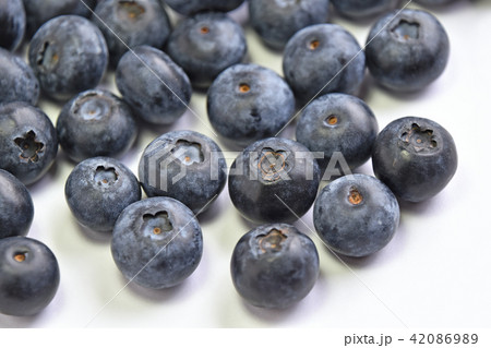 ブルーベリー ブルーベリー 42086989