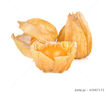Cape gooseberry, physalis isolated Cape gooseberry, physalis isolated 42087172