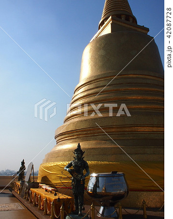 タイの仏塔（黄金の丘寺院） 42087728