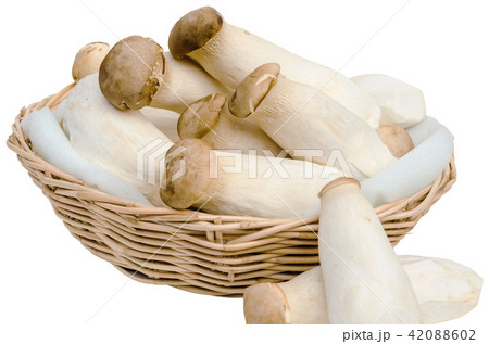 King Oyster Mushroom or Eryngii Mushroom 42088602