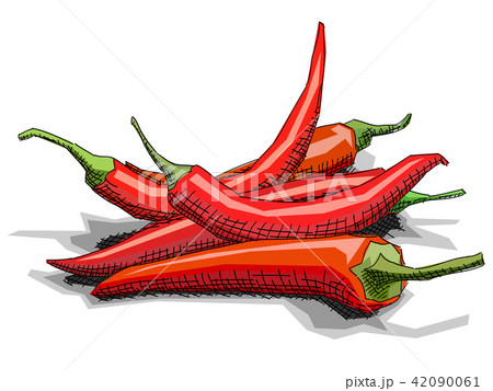 Sketch of drawing vegetable hot peppers with half. Sketch of drawing vegetable hot peppers with half. 42090061