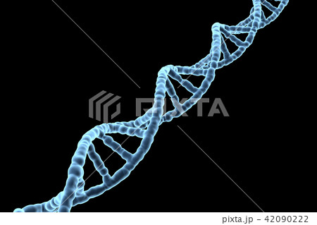 DNA, 遺伝子 DNA, 遺伝子 42090222