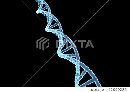 DNA, 遺伝子 42090226