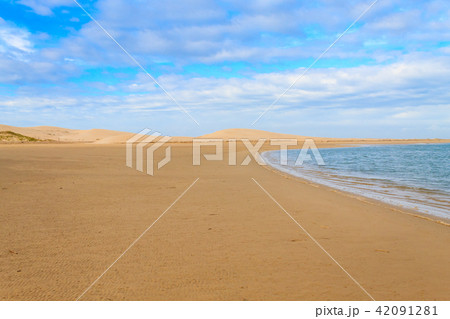 Addo Elephant National Park marine area landscape 42091281