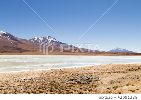 Laguna Hedionda view, Bolivia 42091328
