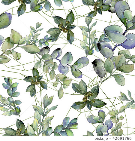 Green boxwood leaf. Leaf plant botanical garden floral foliage.Seamless background pattern. 42091766