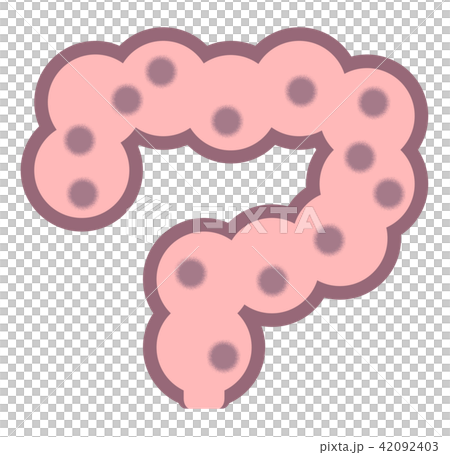 腸内環境 42092403