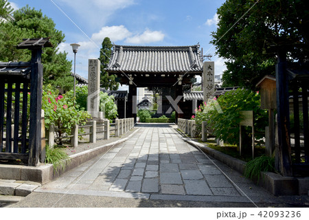 妙蓮寺　山門 42093236