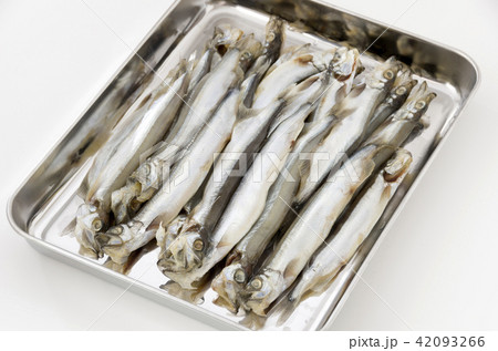 カラフトししやも丸干し(オス) カラフトししやも丸干し(オス) 42093266