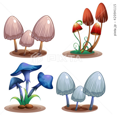 A Set of Poisonous Mushroom A Set of Poisonous Mushroom 42094115