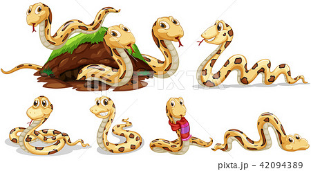 A Set of Snake on White Background 42094389
