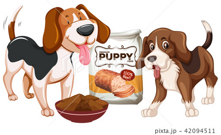 Puppy and Food on White Background 42094511