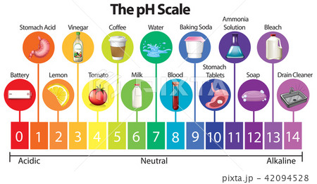 The Science pH Scale 42094528