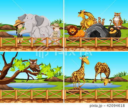 Set of scenes of animals 42094618