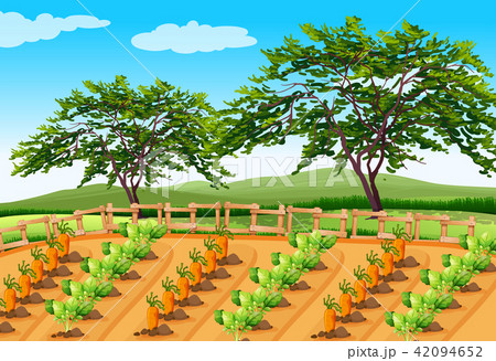 Vegetable Farming in the Rural Area 42094652