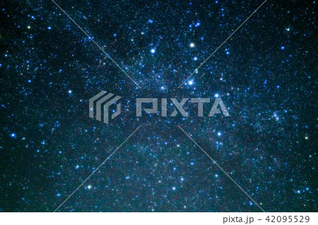 星 42095529