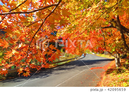 紅葉の湖の風景1 紅葉の湖の風景1 42095659