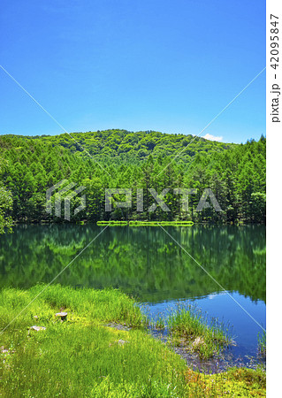 初夏の御射鹿池　みしゃかいけ 42095847