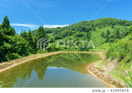 山古志の棚田や棚池の初夏は1年でもっとも美しい新緑の季節 42095858
