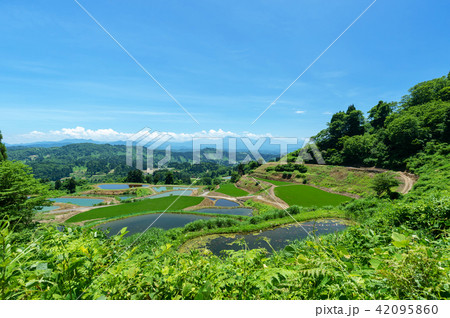 山古志の棚田や棚池の初夏は1年でもっとも美しい新緑の季節 42095860
