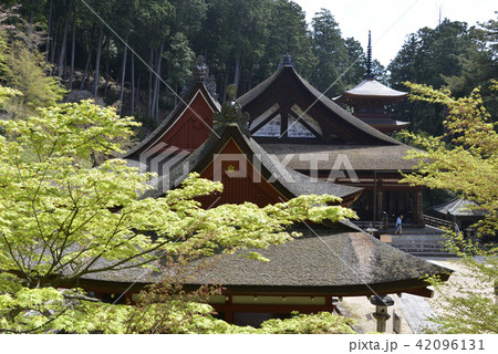 長命寺　伽藍 42096131