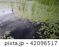 裏磐梯の湖沼 42096517