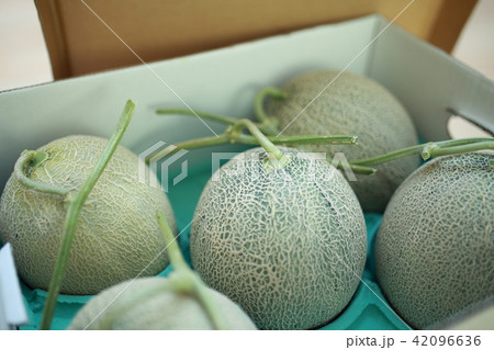 夕張メロン (果物 フルーツ スイーツ お中元 マスクメロン ブランド ギフト 贈り物 赤肉) 夕張メロン (果物 フルーツ スイーツ お中元 マスクメロン ブランド ギフト 贈り物 赤肉) 42096636