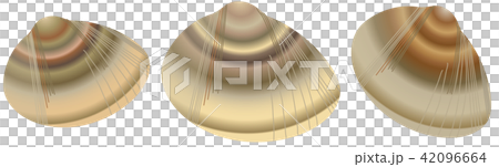 はまぐり はまぐり 42096664