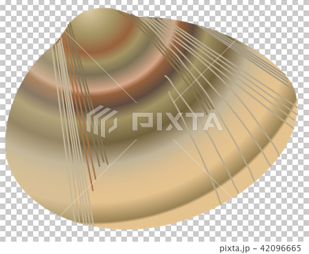 はまぐり はまぐり 42096665