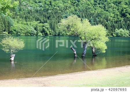 北竜湖夏 北竜湖夏 42097693
