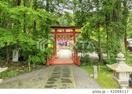 丹生都比売神社 丹生都比売神社 42098117