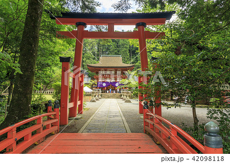 丹生都比売神社 丹生都比売神社 42098118