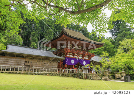 丹生都比売神社 丹生都比売神社 42098123