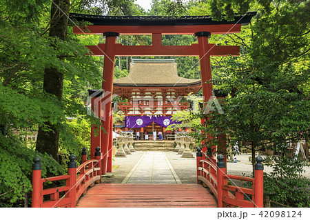 丹生都比売神社 丹生都比売神社 42098124