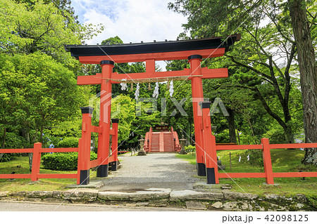 丹生都比売神社 42098125